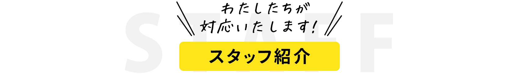スタッフ紹介